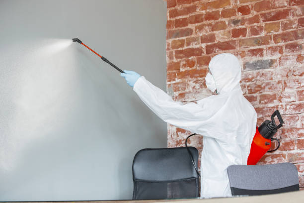 Best Mold Damage Restoration  in Americus, GA