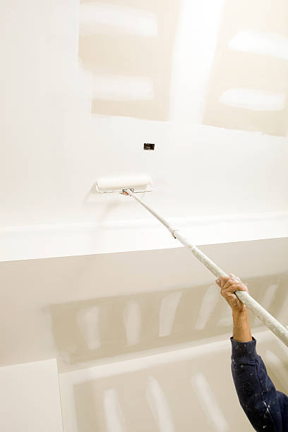 Best Black Mold Removal  in Americus, GA